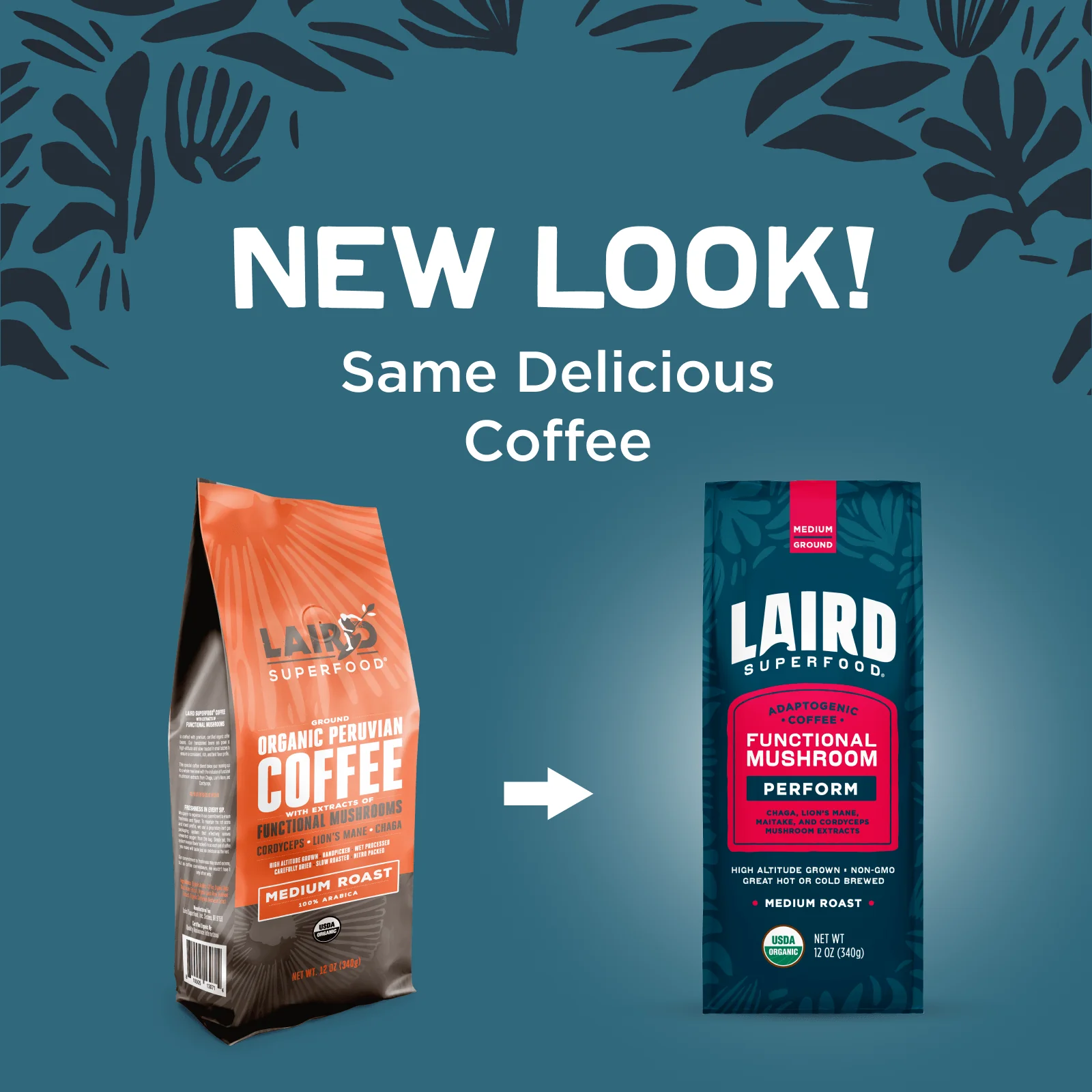 Organic Functional Mushroom PERFORM Coffee (Medium) - Image 2